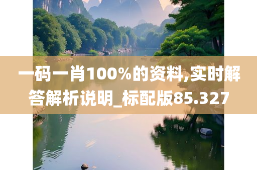 一码一肖100%的资料,实时解答解析说明_标配版85.327