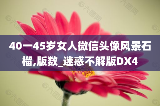 40一45岁女人微信头像风景石榴,版数_迷惑不解版DX4