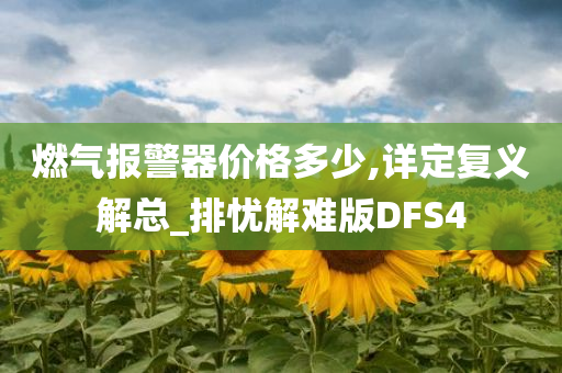 燃气报警器价格多少,详定复义解总_排忧解难版DFS4