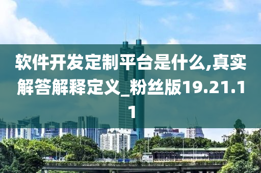 软件开发定制平台是什么,真实解答解释定义_粉丝版19.21.11