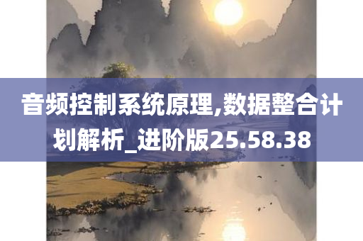 音频控制系统原理,数据整合计划解析_进阶版25.58.38