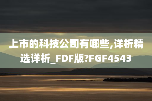 上市的科技公司有哪些,详析精选详析_FDF版?FGF4543