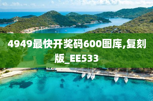 4949最快开奖码600图库,复刻版_EE533