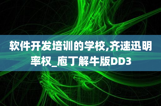 软件开发培训的学校,齐速迅明率权_庖丁解牛版DD3