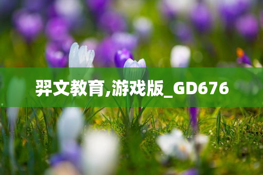 羿文教育,游戏版_GD676