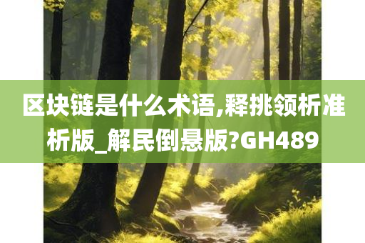 区块链是什么术语,释挑领析准析版_解民倒悬版?GH489