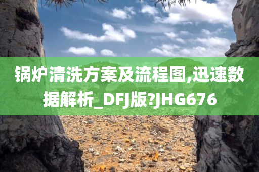 锅炉清洗方案及流程图,迅速数据解析_DFJ版?JHG676