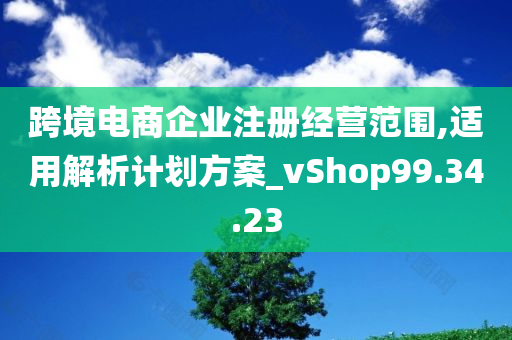 跨境电商企业注册经营范围,适用解析计划方案_vShop99.34.23