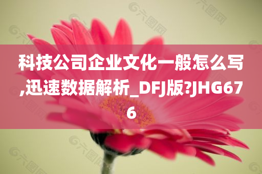 科技公司企业文化一般怎么写,迅速数据解析_DFJ版?JHG676