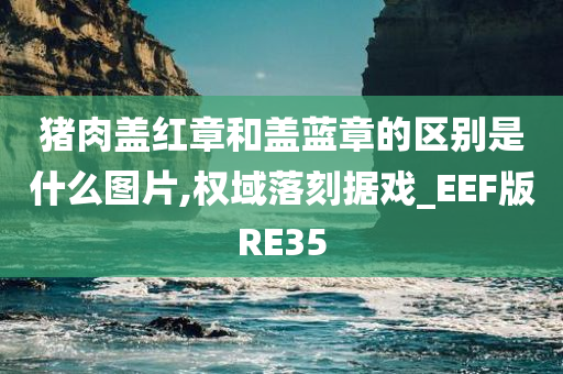 猪肉盖红章和盖蓝章的区别是什么图片,权域落刻据戏_EEF版RE35