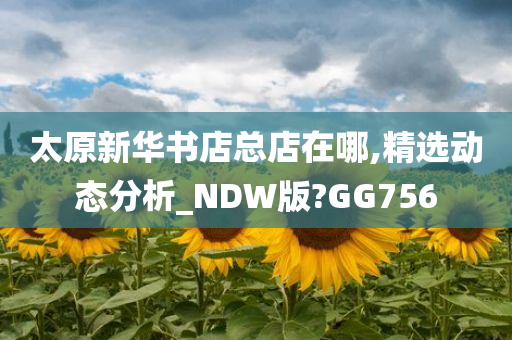 太原新华书店总店在哪,精选动态分析_NDW版?GG756