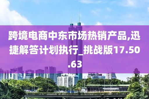 跨境电商中东市场热销产品,迅捷解答计划执行_挑战版17.50.63