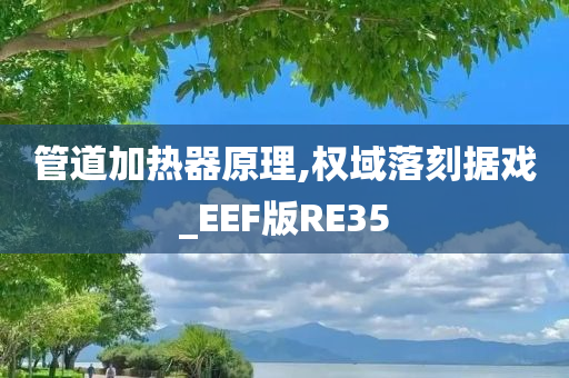 管道加热器原理,权域落刻据戏_EEF版RE35