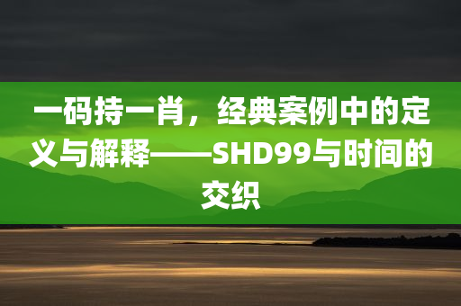 一码持一肖，经典案例中的定义与解释——SHD99与时间的交织