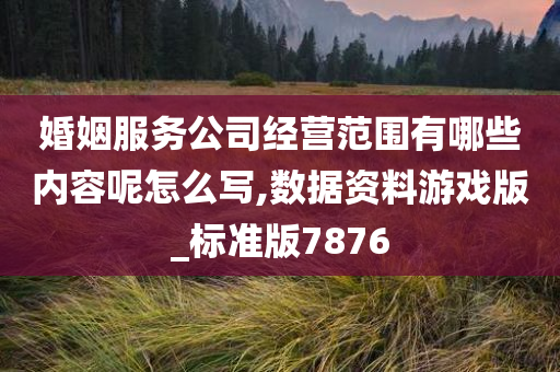 婚姻服务公司经营范围有哪些内容呢怎么写,数据资料游戏版_标准版7876