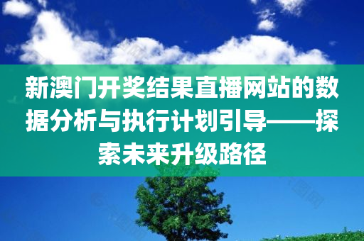 新澳门开奖结果直播网站的数据分析与执行计划引导——探索未来升级路径