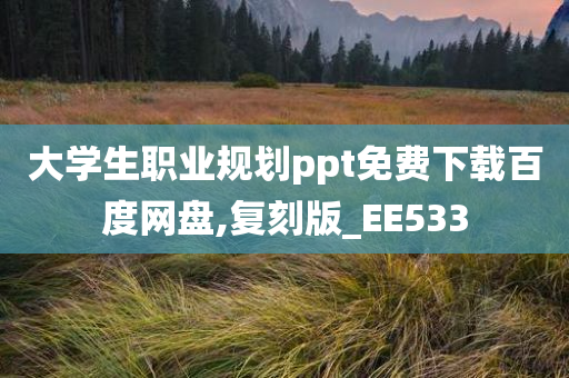 大学生职业规划ppt免费下载百度网盘,复刻版_EE533