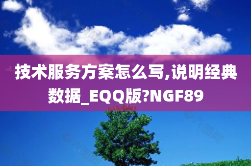 技术服务方案怎么写,说明经典数据_EQQ版?NGF89