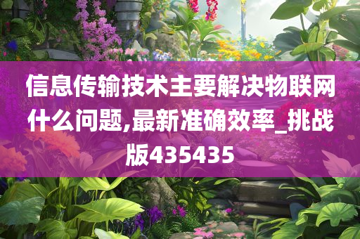 信息传输技术主要解决物联网什么问题,最新准确效率_挑战版435435