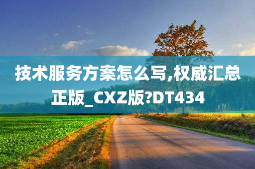 技术服务方案怎么写,权威汇总正版_CXZ版?DT434