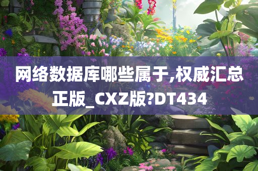 网络数据库哪些属于,权威汇总正版_CXZ版?DT434