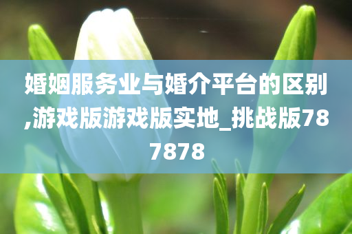 婚姻服务业与婚介平台的区别,游戏版游戏版实地_挑战版787878