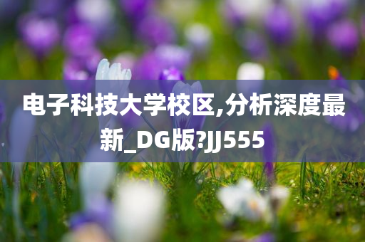 电子科技大学校区,分析深度最新_DG版?JJ555