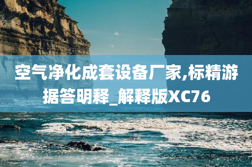 空气净化成套设备厂家,标精游据答明释_解释版XC76