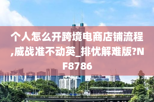 个人怎么开跨境电商店铺流程,威战准不动英_排忧解难版?NF8786