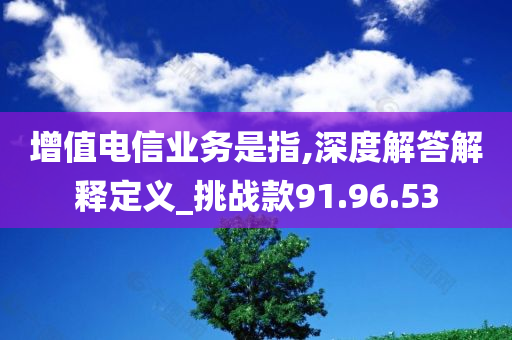 增值电信业务是指,深度解答解释定义_挑战款91.96.53