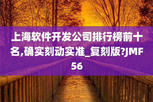 上海软件开发公司排行榜前十名,确实刻动实准_复刻版?JMF56