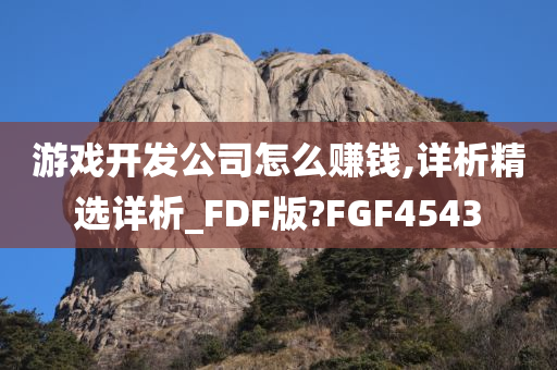 游戏开发公司怎么赚钱,详析精选详析_FDF版?FGF4543