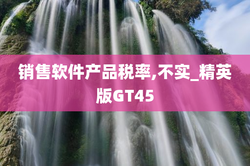 销售软件产品税率,不实_精英版GT45