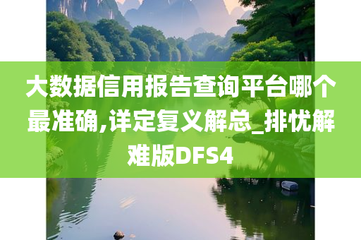 大数据信用报告查询平台哪个最准确,详定复义解总_排忧解难版DFS4