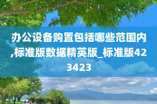 办公设备购置包括哪些范围内,标准版数据精英版_标准版423423