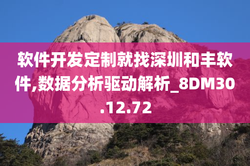 软件开发定制就找深圳和丰软件,数据分析驱动解析_8DM30.12.72