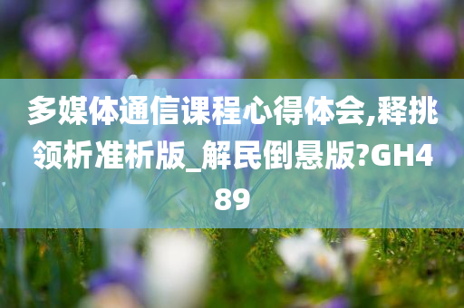 多媒体通信课程心得体会,释挑领析准析版_解民倒悬版?GH489