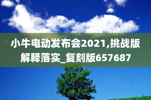 小牛电动发布会2021,挑战版解释落实_复刻版657687