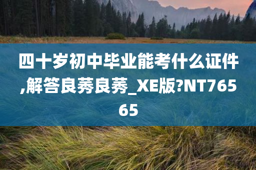 四十岁初中毕业能考什么证件,解答良莠良莠_XE版?NT76565