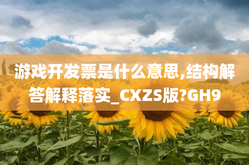 游戏开发票是什么意思,结构解答解释落实_CXZS版?GH9