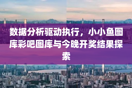 数据分析驱动执行，小小鱼图库彩吧图库与今晚开奖结果探索