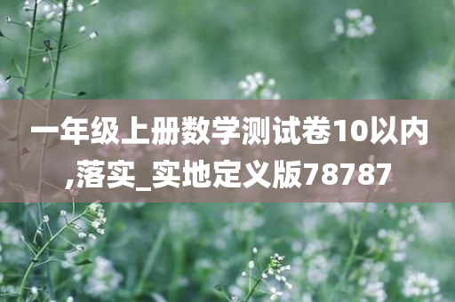 一年级上册数学测试卷10以内,落实_实地定义版78787