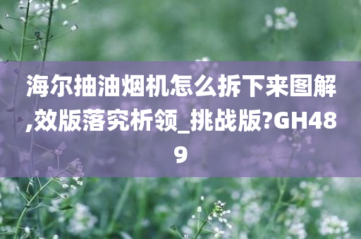 海尔抽油烟机怎么拆下来图解,效版落究析领_挑战版?GH489