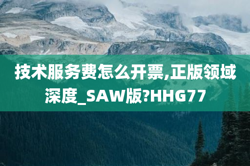 技术服务费怎么开票,正版领域深度_SAW版?HHG77