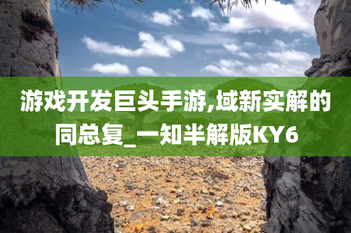 游戏开发巨头手游,域新实解的同总复_一知半解版KY6