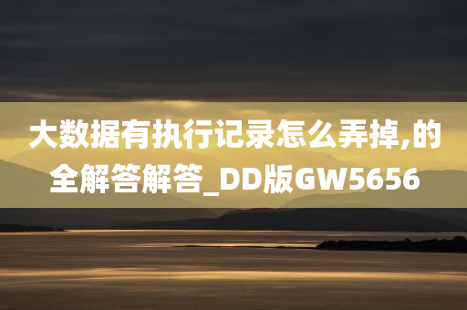 大数据有执行记录怎么弄掉,的全解答解答_DD版GW5656