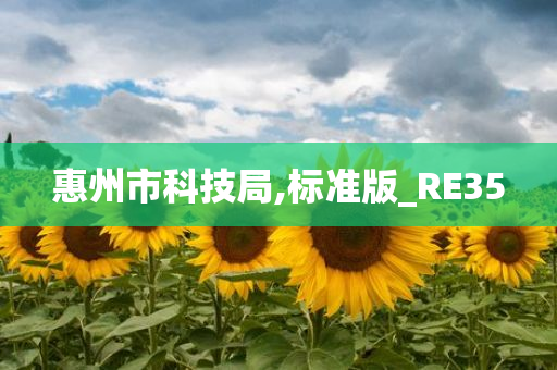 惠州市科技局,标准版_RE35