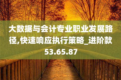 大数据与会计专业职业发展路径,快速响应执行策略_进阶款53.65.87