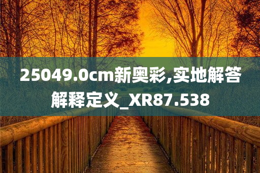 25049.0cm新奥彩,实地解答解释定义_XR87.538