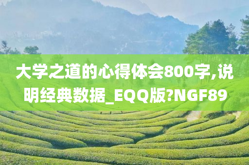 大学之道的心得体会800字,说明经典数据_EQQ版?NGF89